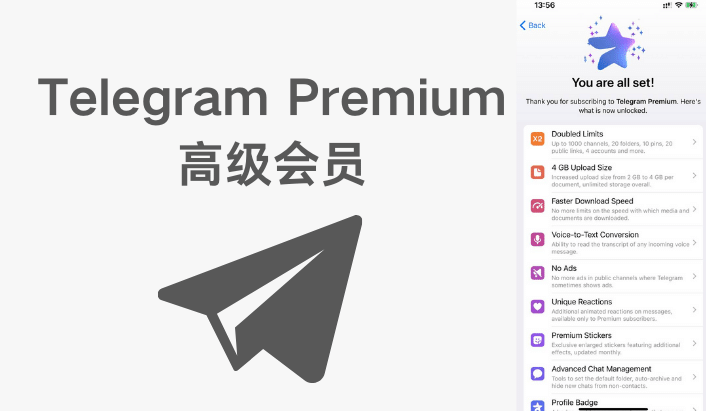 Telegram Premium 購買全攻略:價格比較、付款方式與如何避開黑商套路