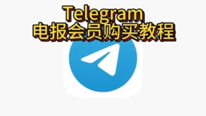 Telegram Premium 購買全攻略：價格比較、付款方式與如何避開黑商套路